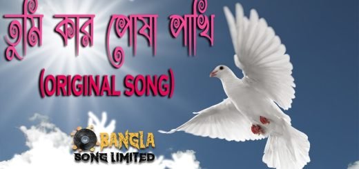 Tumi Kar posha Pakhi Guitar Chords | তুমি কার পোষা পাখি
