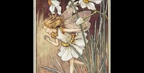 Shei Fuler Dol Chords By Moheener Ghoraguli