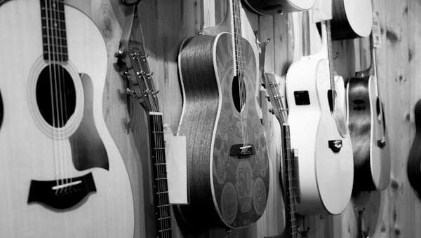 Best Acoustic Guitar Brands for Every Budget